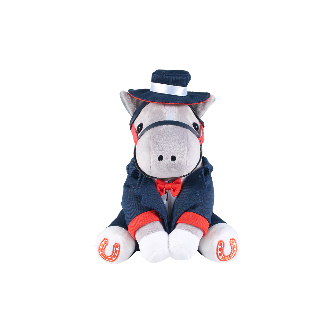 Gift at Races. 2025 LONGINES Hong Kong International Races